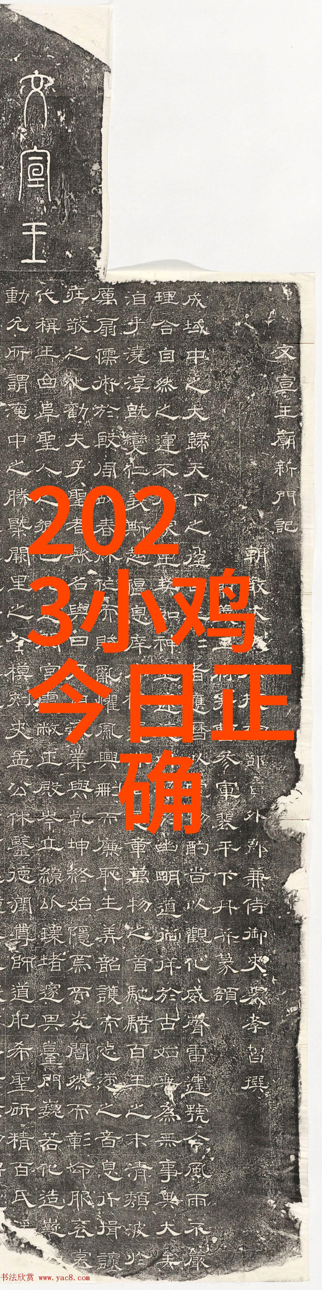 韩国最美隧道 里面装满了柿子酿的葡萄酒