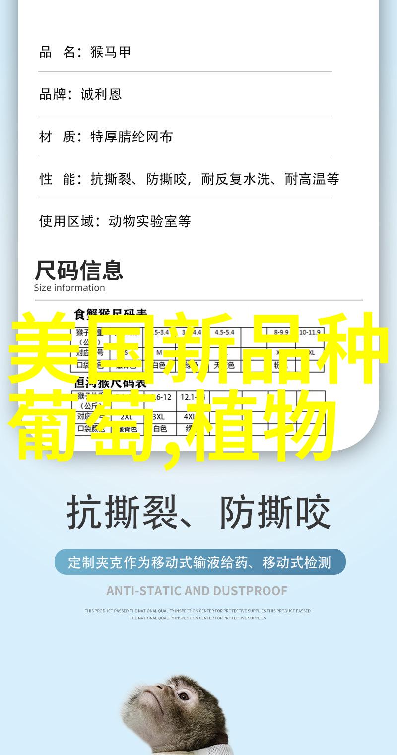 法国红酒经典系列盘点波尔多勃艮第等产区有哪些必尝款